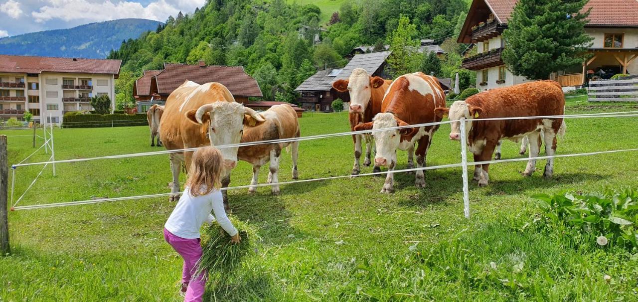 Ferienhaus Michael Bad Kleinkirchheim Exteriér fotografie